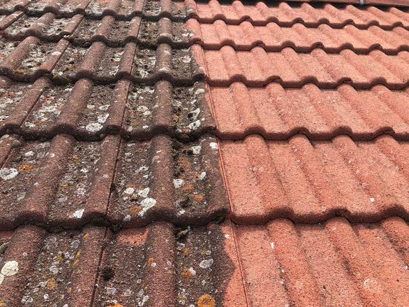 čištění střech od řas a lišeje